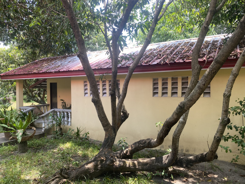 Farm For Sale at Brgy. Arenas Arayat, Pampanga (Perfect for Resort Development)