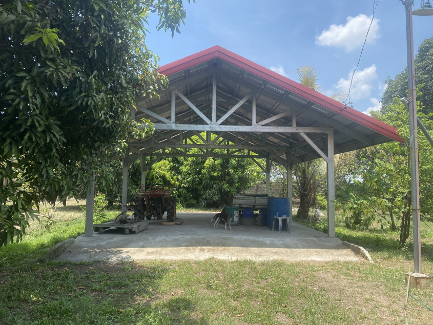 Farm For Sale at Brgy. Arenas Arayat, Pampanga (Perfect for Resort Development)