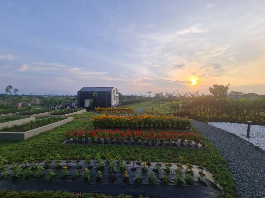 Lot For Sale In Arden Botanical Village