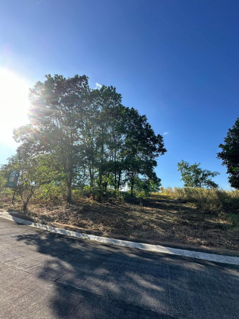 Lot For Sale In The Glades At Timberland Heights
