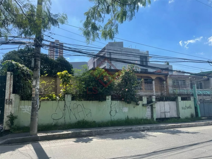 For Sale Prime Mixed Use Property For Sale In Biak Na Bato Quezon City