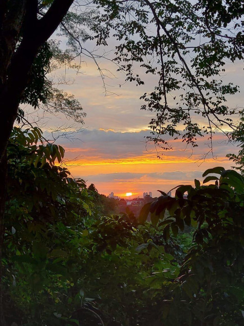 For Sale: 1,449 SQM Residential Lot In Town & Country Estates, Antipolo City