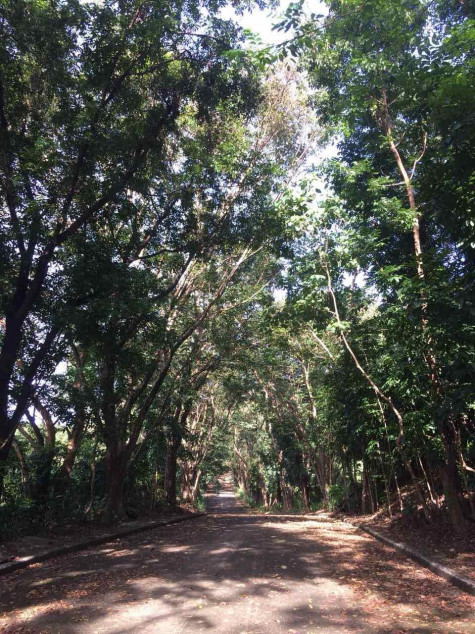 For Sale: 1,449 SQM Residential Lot In Town & Country Estates, Antipolo City