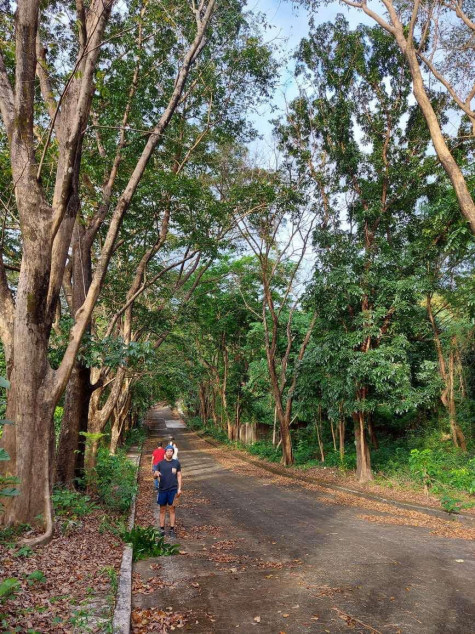 For Sale: 1,449 SQM Residential Lot In Town & Country Estates, Antipolo City