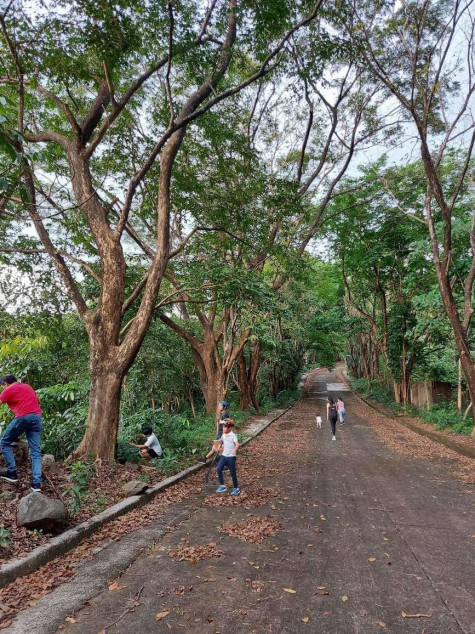 For Sale: 1,449 SQM Residential Lot In Town & Country Estates, Antipolo City