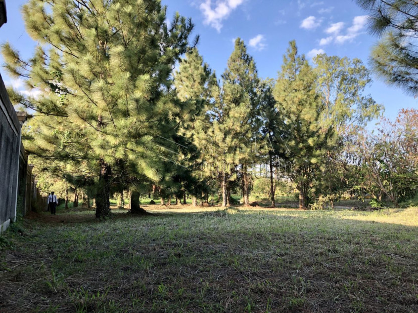 413 SQM Lot For Sale In Belle Reve, Sta. Rosa, Laguna