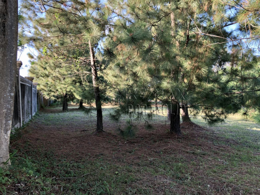 413 SQM Lot For Sale In Belle Reve, Sta. Rosa, Laguna