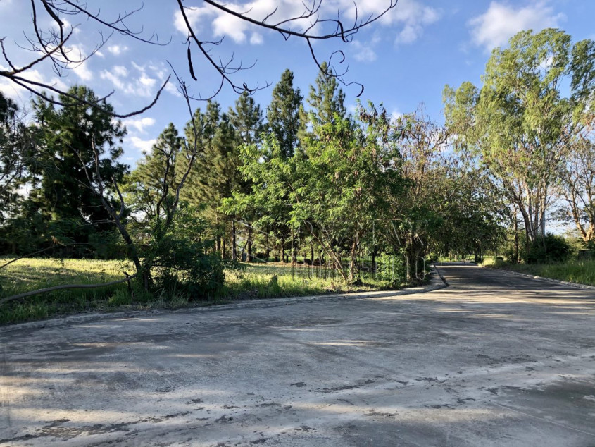 413 SQM Lot For Sale In Belle Reve, Sta. Rosa, Laguna