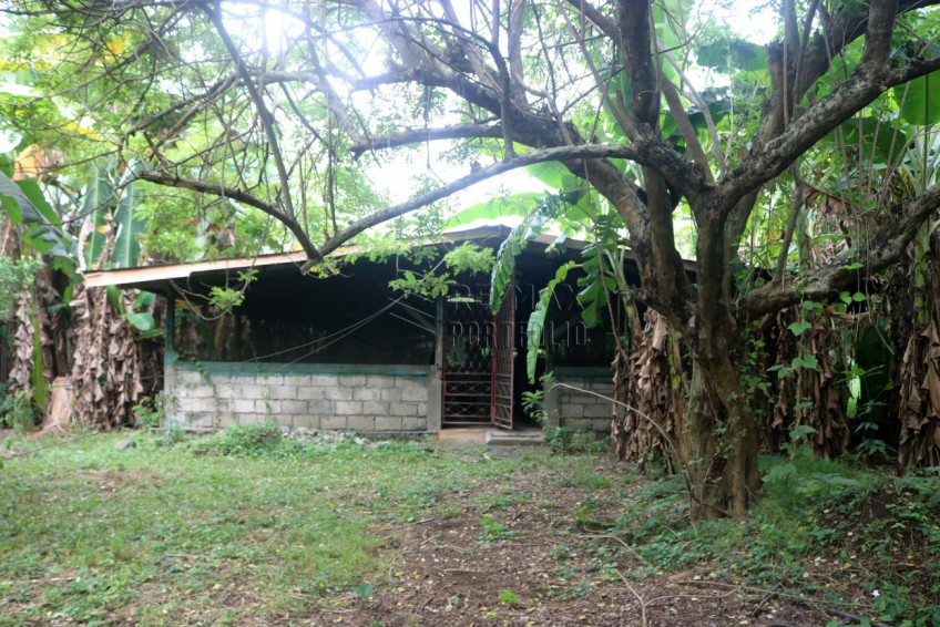 19,583 SQM Land With Natural Hot Spring For Sale In Tiaong, Quezon