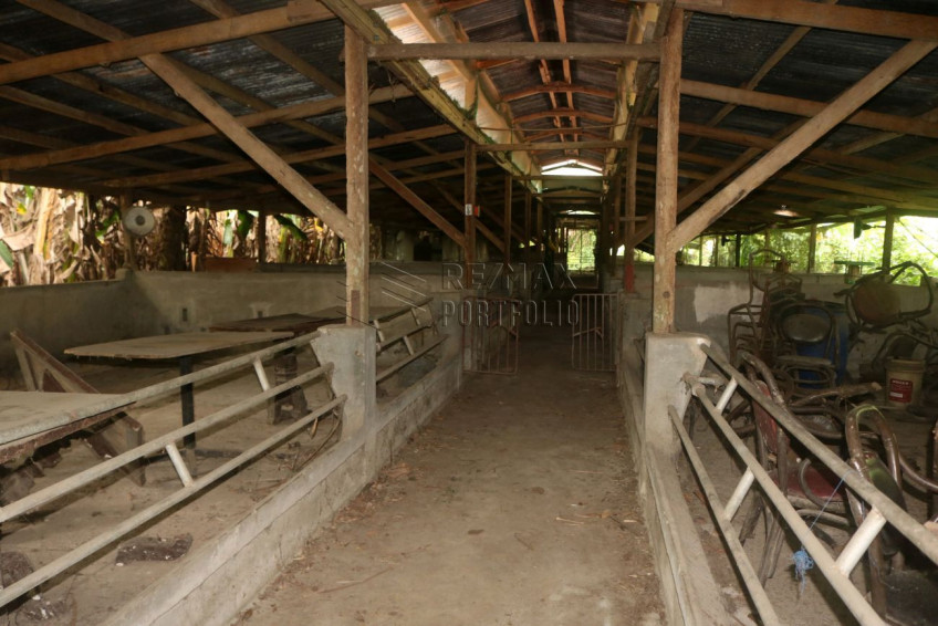 19,583 SQM Land With Natural Hot Spring For Sale In Tiaong, Quezon