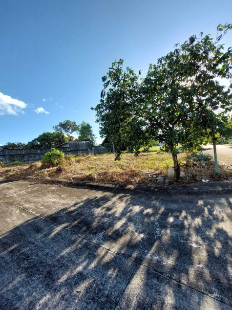 Residential Corner Lot Inside An Exclusive Township In Calamba For Sale