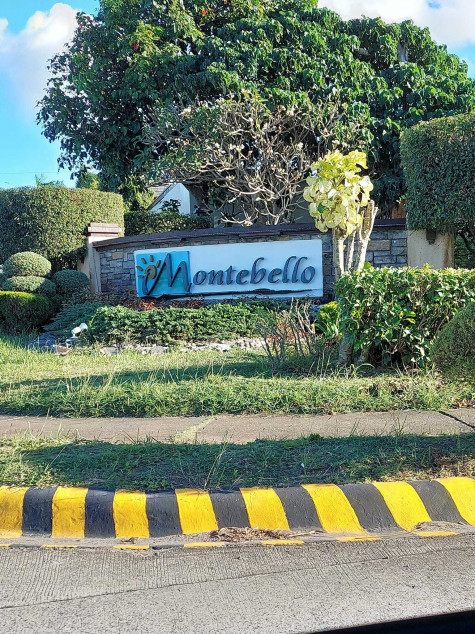 Residential Corner Lot Inside An Exclusive Township In Calamba For Sale