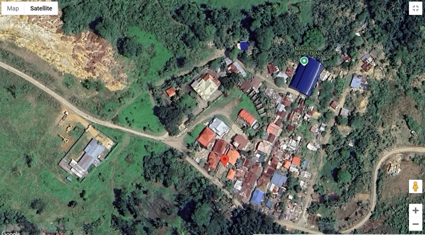 Property # 11654 House & Lot For Sale In Barangay Arpili Balamban Cebu