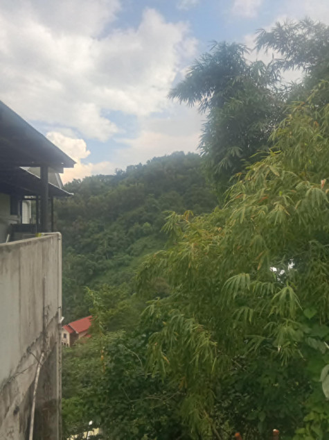 Property For Sale# 11495 Lot For Sale In Jardin De Busay , Cebu City