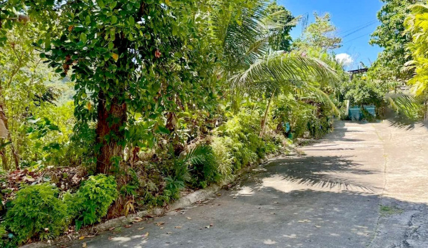 Residential Lot for Sale - St. Martin Heights Subdivision, Guadalupe, Cebu City