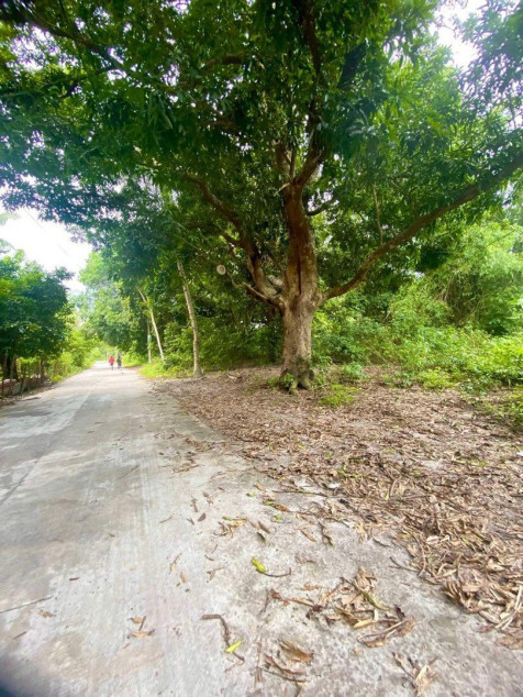 1,000 sqm Lot for Sale in San Agustin, Castillejos, Zambales