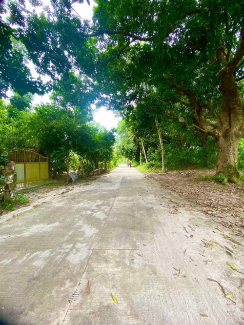 1,000 sqm Lot for Sale in San Agustin, Castillejos, Zambales