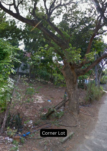 Cabatangan Commercial/Residential Lot For Sale in Zamboanga