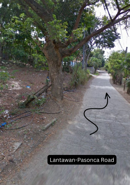 Cabatangan Commercial/Residential Lot For Sale in Zamboanga