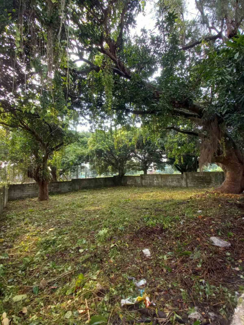 Lot For Sale‼️ Carmel Heights Royale Executive Village Dasma Cavite