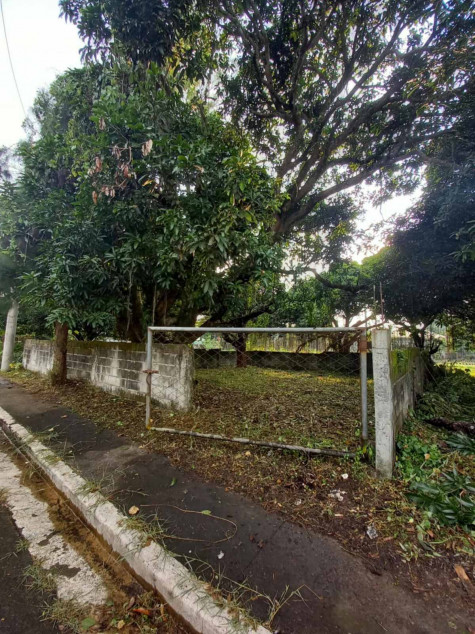 Lot For Sale‼️ Carmel Heights Royale Executive Village Dasma Cavite