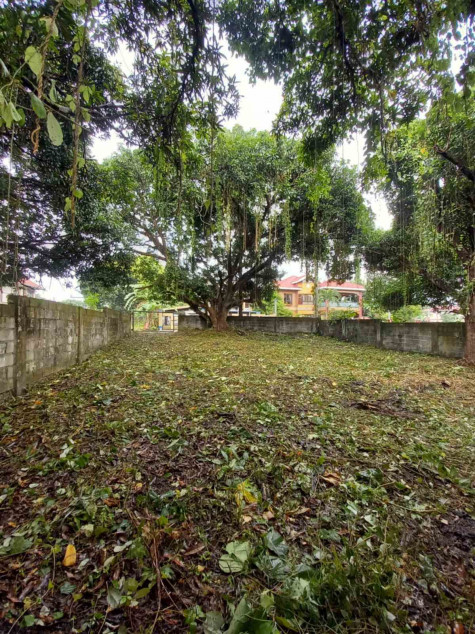Lot For Sale‼️ Carmel Heights Royale Executive Village Dasma Cavite