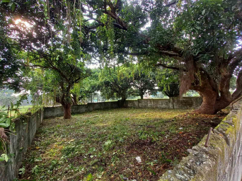 Lot For Sale‼️ Carmel Heights Royale Executive Village Dasma Cavite