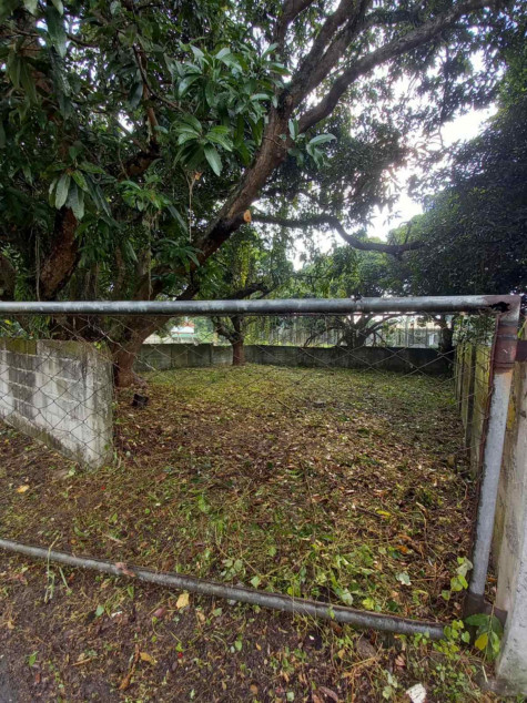 Lot For Sale‼️ Carmel Heights Royale Executive Village Dasma Cavite