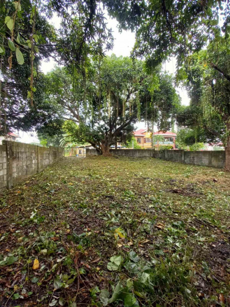 Lot For Sale‼️ Carmel Heights Royale Executive Village Dasma Cavite