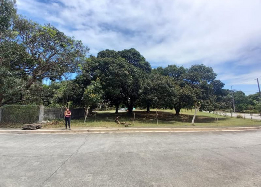 Lot For Sale‼️ Carmel Heights Royale Executive Village Dasma Cavite