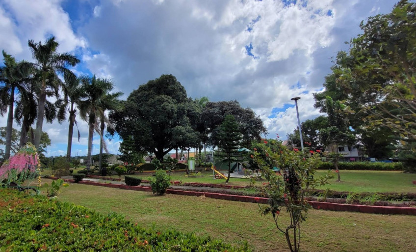 105 sqm Residential Lot For Sale in Dasmarinas Cavite