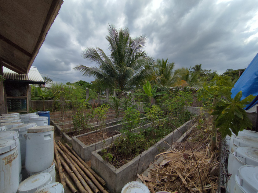1,255 SQM Organic Farm with 9 Guesthouses & Solar Power in Ampayon, Butuan City