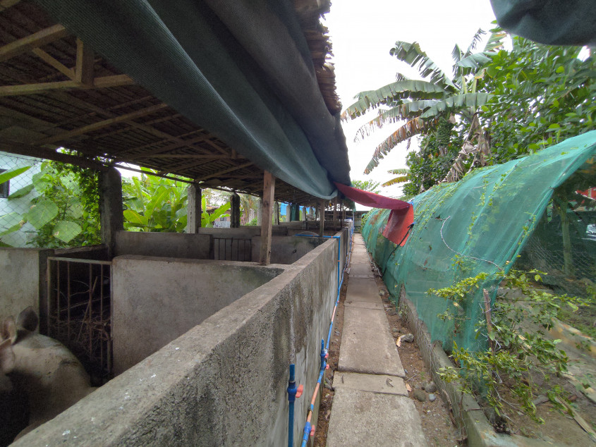 1,255 SQM Organic Farm with 9 Guesthouses & Solar Power in Ampayon, Butuan City