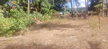 Farm Lot For Sale In Calaca, Batangas