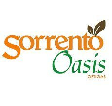 3 BR Condominium Unit for Sale at Sorrento Oasis in Rosario, Metro Manila