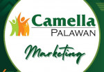 Camella Palawan Marketing